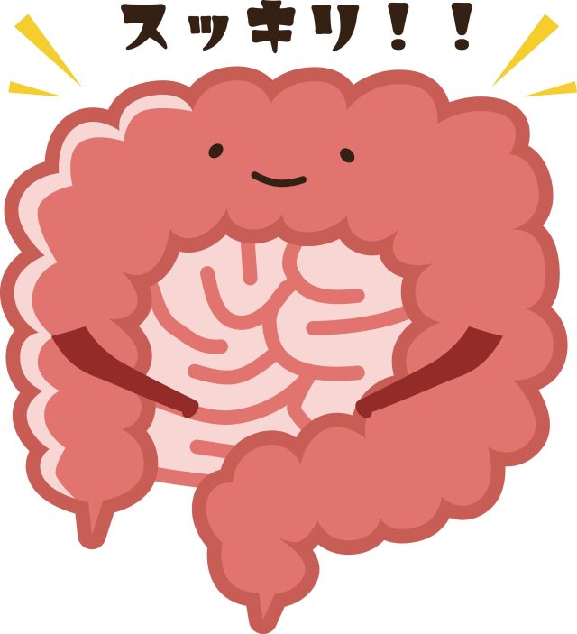 過敏性腸症候群にお困りの方、東洋医学から見た自宅での対策とは？